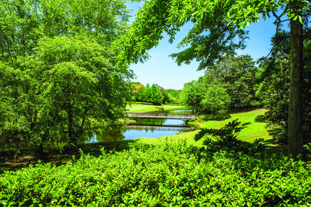 20190502_MBmag_Bellingrath_Z7A2020