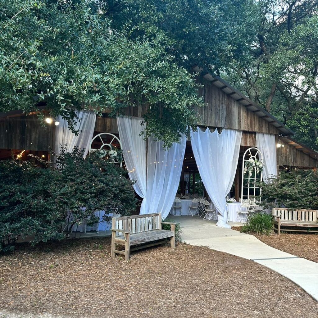 Image 15